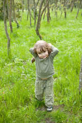 Dans la forêt