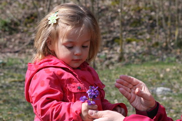 bébé fille découvrant les fleurs