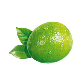 Limette