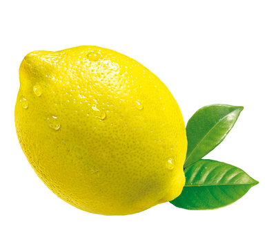 Zitrone