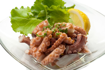 octopus salad isolated on white
