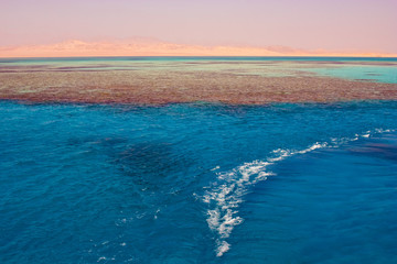 Fototapeta na wymiar Red sea in Egypt . Ras Muchamed