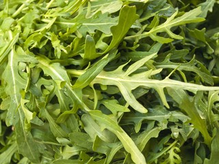 Ruccola auf dem Markt