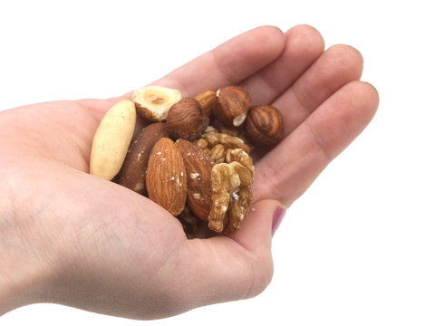 Handful Of Nuts. Model Released