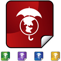 201004131007-globe-insurance