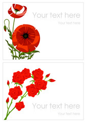 Poppy and rose greeting cards