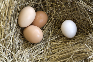 Separated eggs.