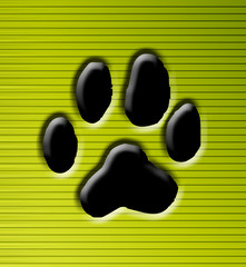 Animal footprint