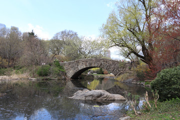 Fototapeta na wymiar Wczesna wiosna w Central Park, Nowy Jork