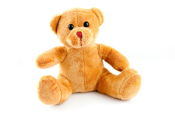 Teddy bear
