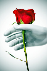 rose