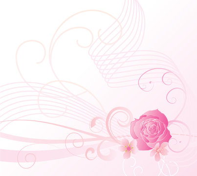 pink rose and cheryy flowers background