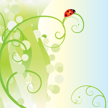 ladybird on green abstract background