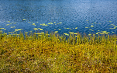 Blue and green