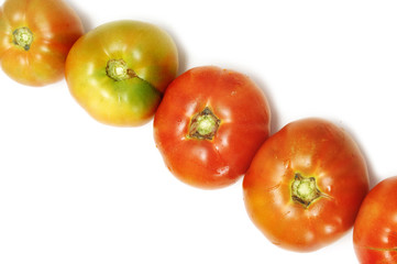 tomatoes