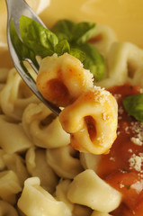 Tortellini alla bolognese