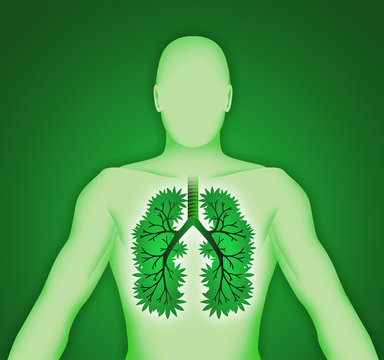 Corpo umano tridimensionale con polmoni-albero