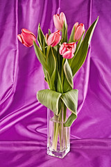 Bouquet of bright tulips