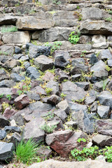 wall of big granite rock stones with green grass and plants