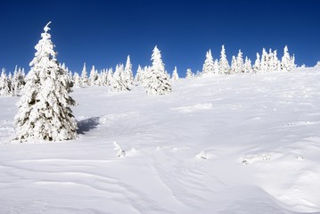 still-life from jesenik moravia - czech republic
