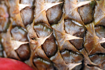 skin of a ripe pineapple