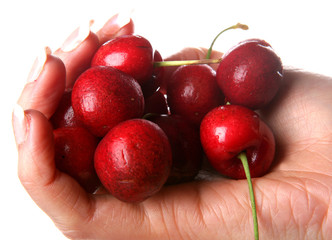 Woman Holding Cherries. Model Released