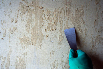 IMG_4392 papier peint