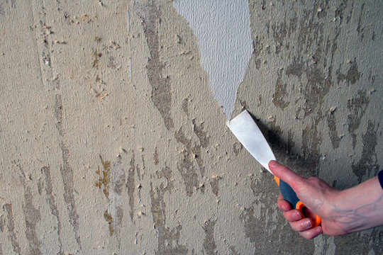 IMG_4391 papier peint