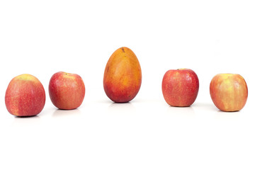 fruits