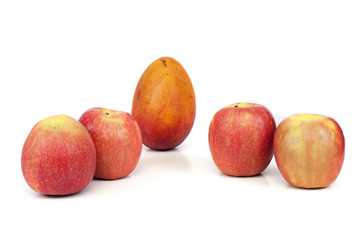 fruits