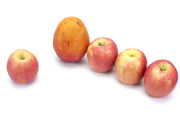 fruits