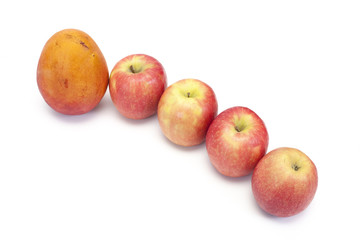 fruits