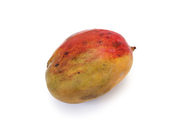 mangue