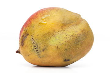 mangue