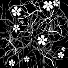 Papier Peint photo autocollant Fleurs noir et blanc Texture transparente 291