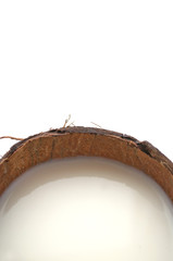 Milk in Coconut