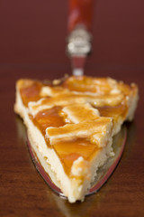 Ein Stück Aprikosentarte oder italienische Crostata mit Aprikose auf einem Kuchenheber