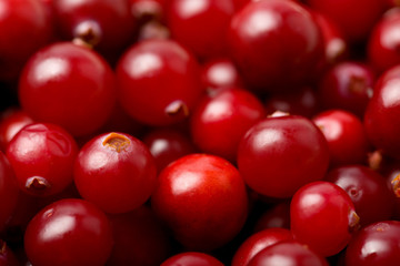 red cranberries background