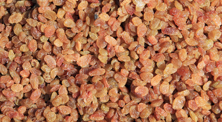 Raisin