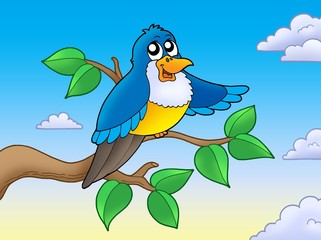 Cute blue bird on branch