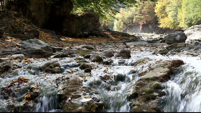 Running water in the Carpathians Mountains
