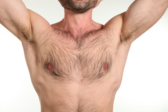 torso nudo maschile
