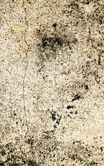 grunge background with space for text or image