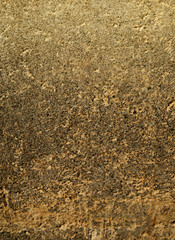 grunge background with space for text or image