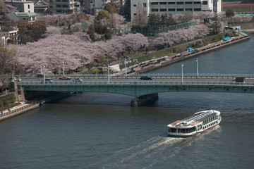 満開のサクラの隅田公園を走る水上バス