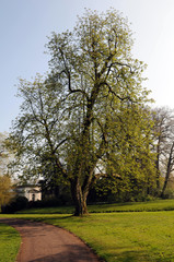 park7