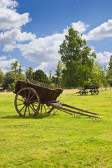 Old wooden wagons in the meadows of the farm of Versailles