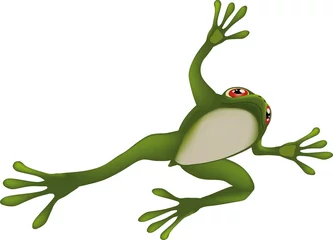 Gordijnen frog © liusa