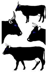 Collection of silhouettes of cows