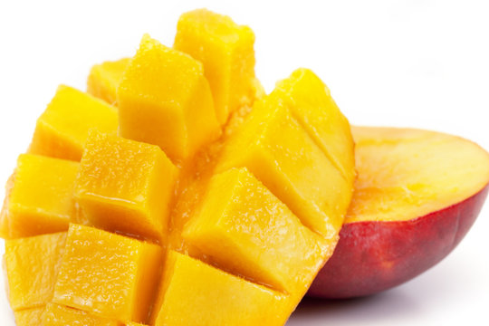 2 908 Best Mangue Images Stock Photos Vectors Adobe Stock
